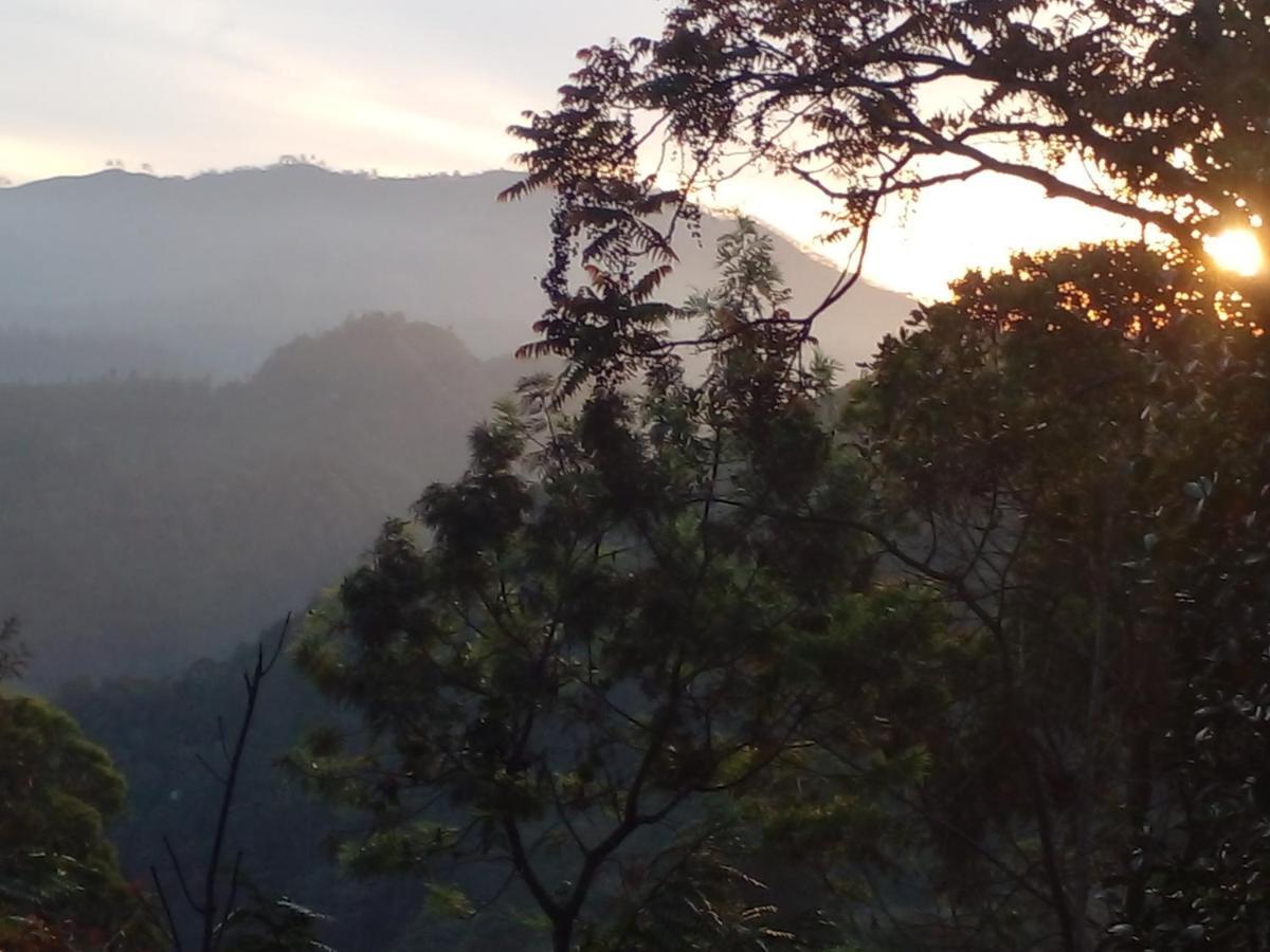 Racy Nature Cottage Ella Luaran gambar
