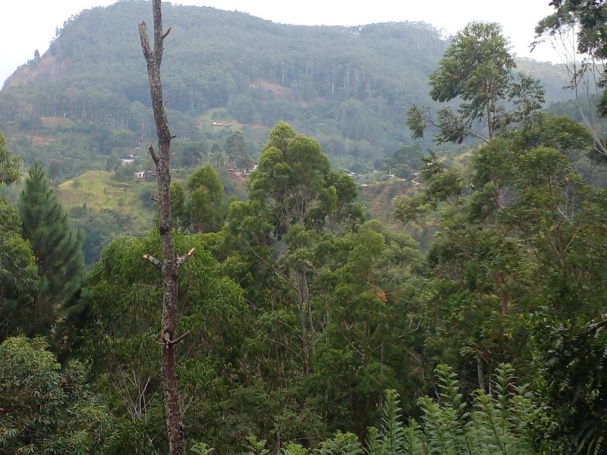 Racy Nature Cottage Ella Luaran gambar