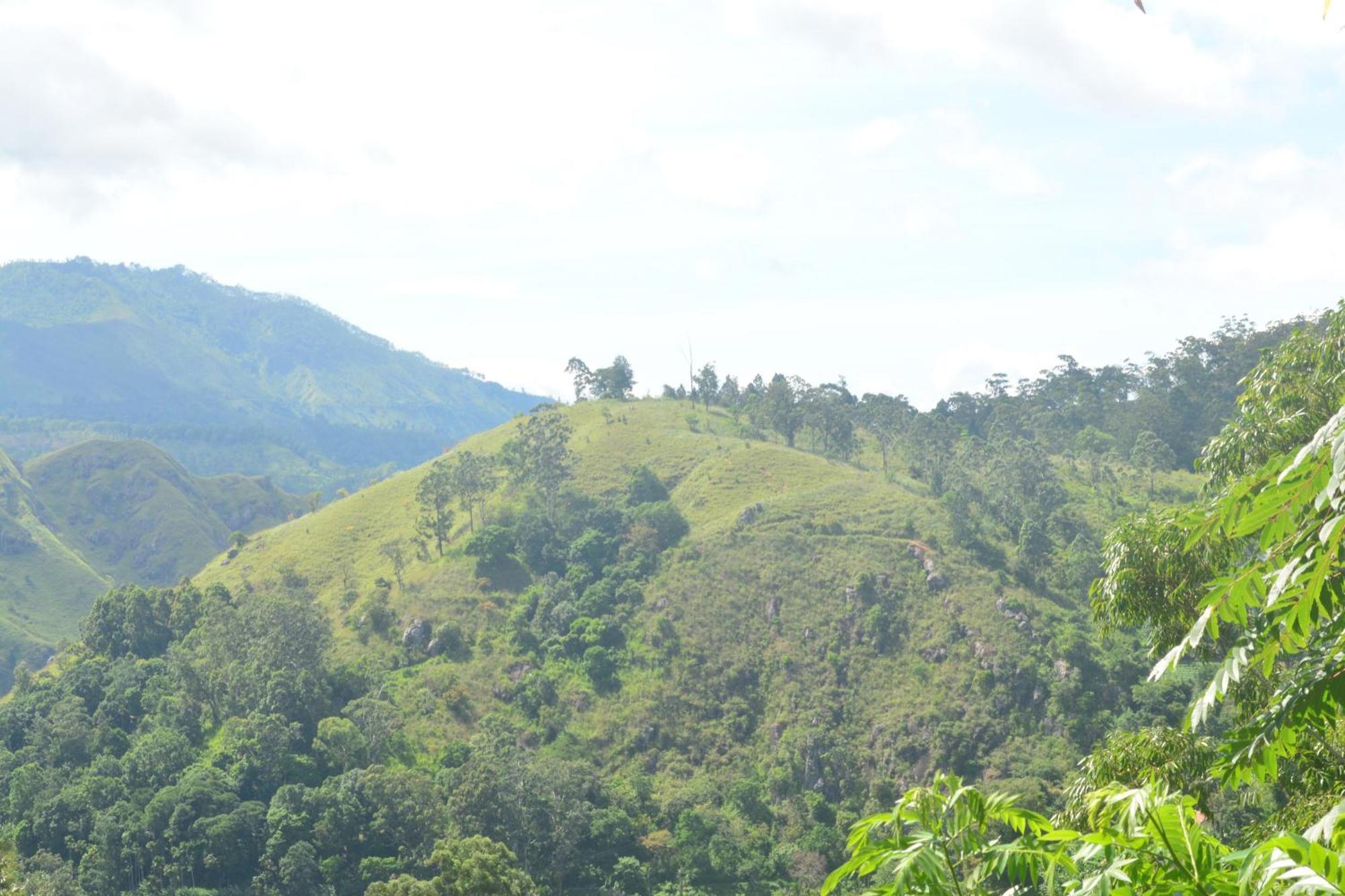 Racy Nature Cottage Ella Luaran gambar