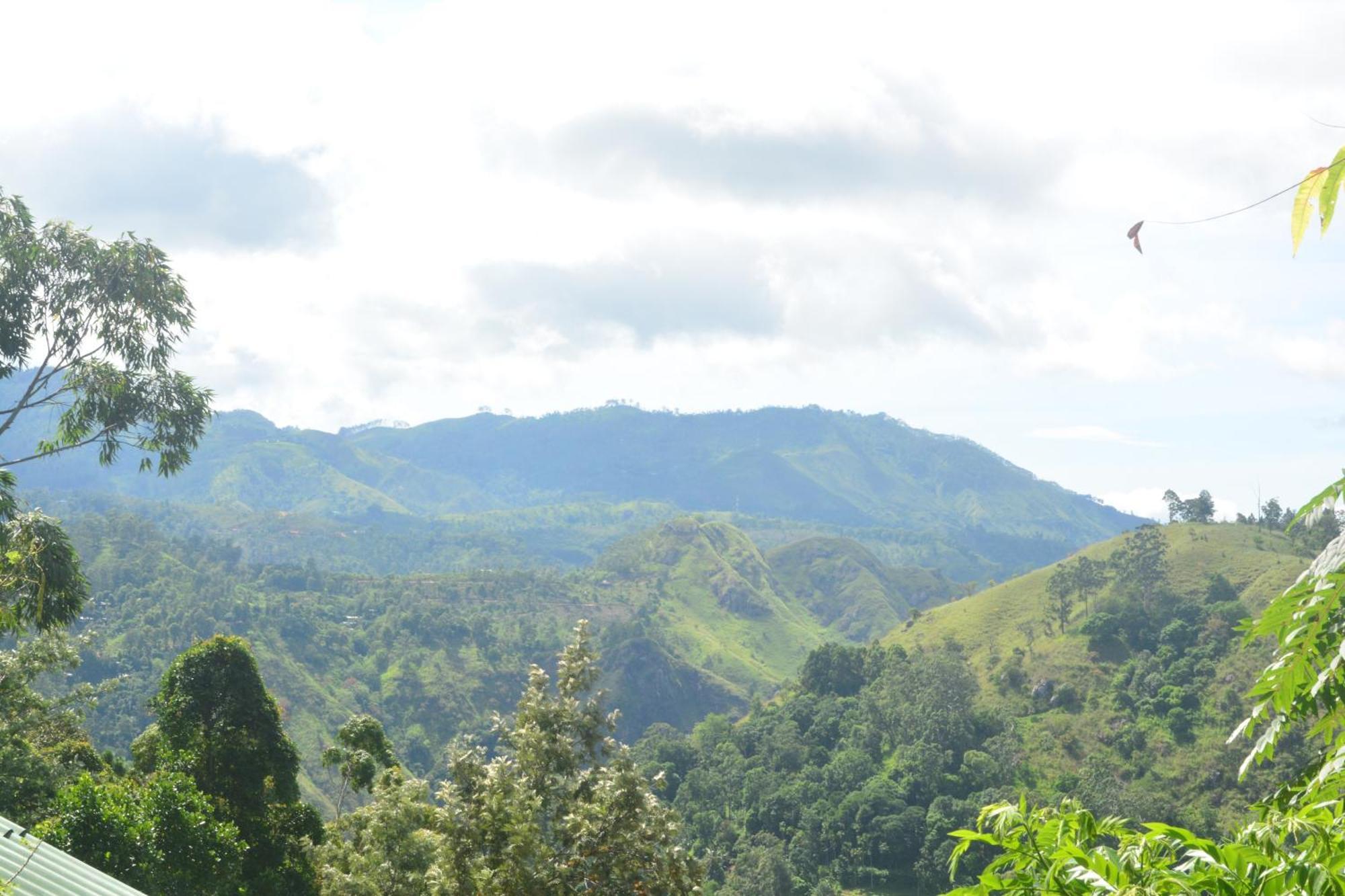 Racy Nature Cottage Ella Luaran gambar