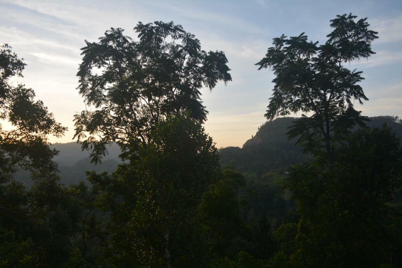 Racy Nature Cottage Ella Luaran gambar