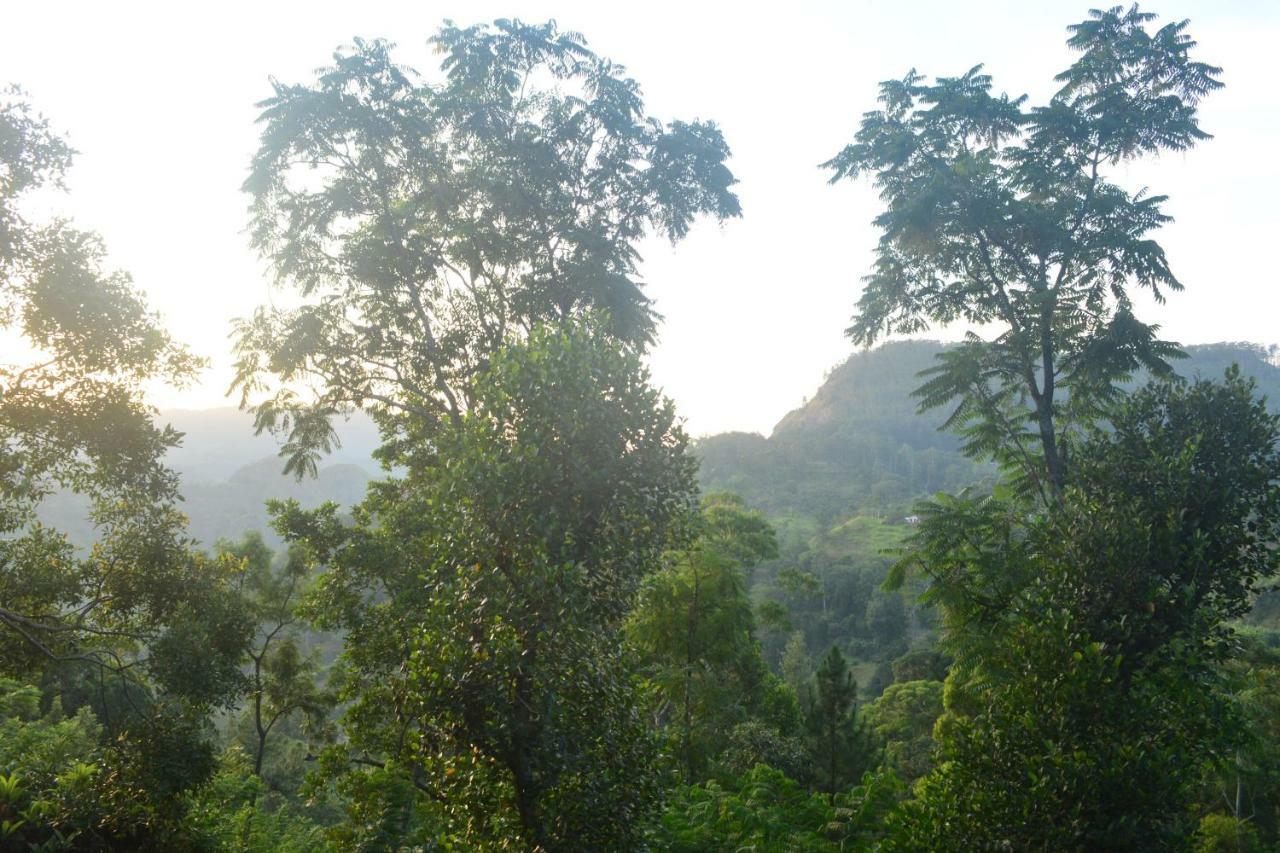 Racy Nature Cottage Ella Luaran gambar