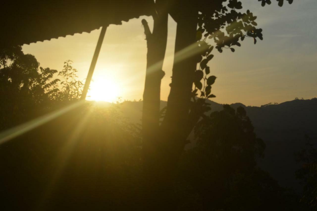 Racy Nature Cottage Ella Luaran gambar